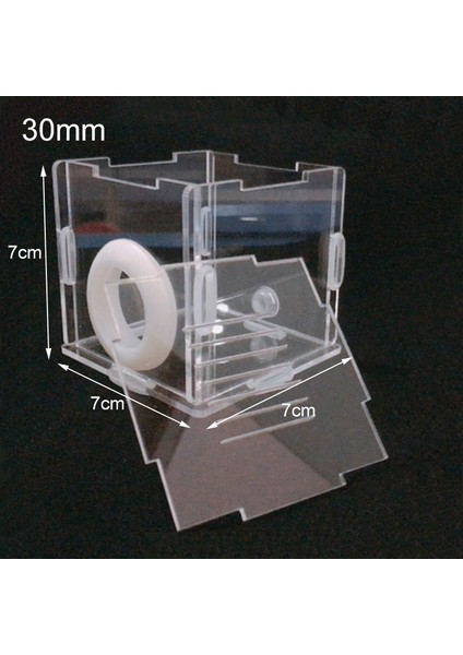 30 mm Stili Besleme Doğal Bambu Test Tüpü Karınca Yuvası Farklı Boyutlar Alçı Tüp Karınca Evi Evcil Karıncalar Için Antre Atölyesi Villa Kraliçe Karınca Evi (Yurt Dışından)