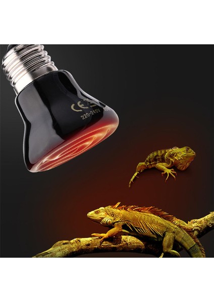 100W Tarzı E27 Uzak Kızılötesi Seramik Evcil Hayvan Isıtma Lambası Kertenkele Kaplumbağa Örümcek Sürüngen Isıtıcı Isıtıcı Işık Ampulü Sıcaklık (Yurt Dışından)