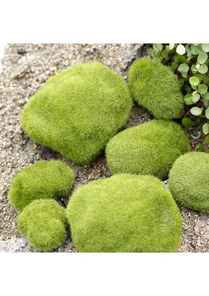 Yeşil Stil 10CM 1 Adet Karınca Çiftliği Dekorasyonu Yapay Mini Yosun Taşları Karınca Yuvası Karınca Evi Aksesuarları Anthill Atölyesi Mikro-Manzara Dekorasyon (Yurt Dışından) modelleri