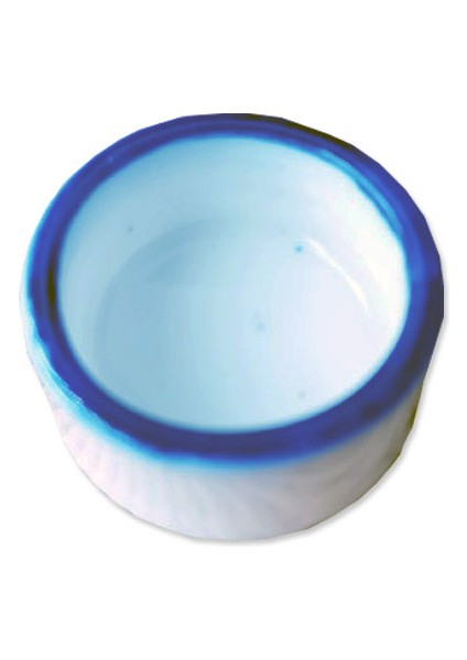 2 Adet Çap 4cm Tarzı Karınca Çiftliği Yemlik Tabak Böcek Yiyeceği Su Kasesi Karınca Yuvası Yem Kabı Aracı Karınca Evi Yiyecek Kapları Karınca Yuvası Aksesuarları (Yurt Dışından) modelleri