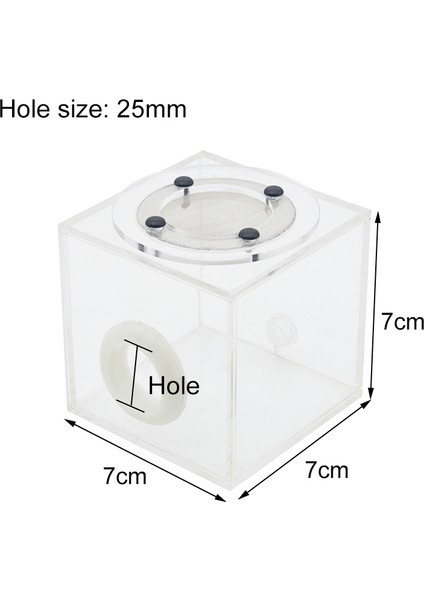 25MM Besleme Stili Dıy Ekolojik Alçı Karınca Çiftliği Deneme Tüpü Su Alçısı Karınca Yuvası Çeşitli Boyutlarda Tüpler Karınca Evi Atölyesi Evcil Hayvan Karıncalığı Kraliçe Karınca Için (Yurt Dışından)