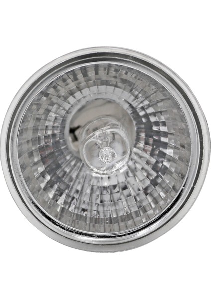 50W Tarzı Sürüngen Isı Lambası Ampul Kaplumbağa Güneşlenme Uva+Uvb Işık Ampulleri Isıtma Lambası Kertenkeleler Sıcaklık Kontrol Cihazı (Yurt Dışından) fırsatları