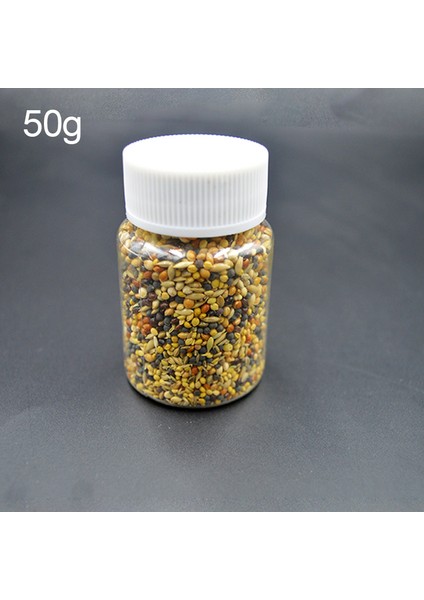 50G Tarzı 10GG Karınca Çiftliği Messor Structor Harvester Karışık Tahıl Karınca Evi Aksesuarları Karınca Yuvası Atölyesi Evcil Karınca Yuvası (Yurt Dışından)
