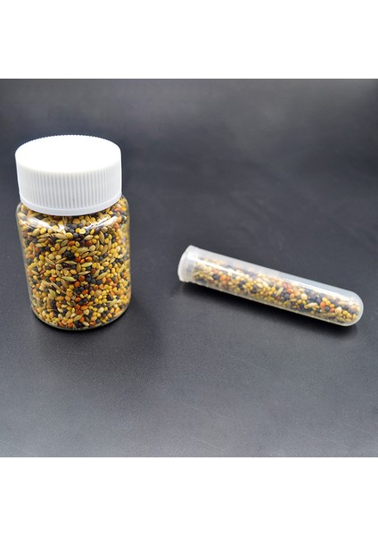 50G Tarzı 10GG Karınca Çiftliği Messor Structor Harvester Karışık Tahıl Karınca Evi Aksesuarları Karınca Yuvası Atölyesi Evcil Karınca Yuvası (Yurt Dışından) fırsatları