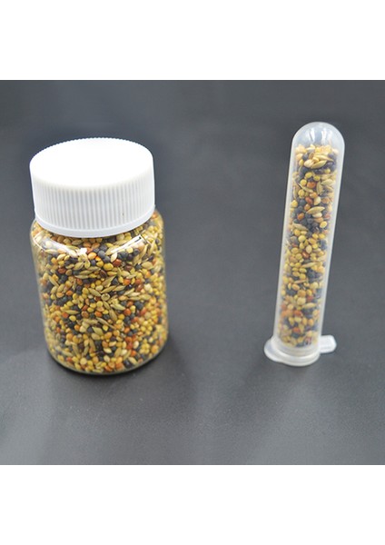 50G Tarzı 10GG Karınca Çiftliği Messor Structor Harvester Karışık Tahıl Karınca Evi Aksesuarları Karınca Yuvası Atölyesi Evcil Karınca Yuvası (Yurt Dışından) indirimleri