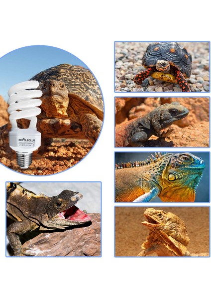 220V E27 23W 10.0 Stili Bene 2 Paket Enerji Tasarruf Lambası Uvb Işık Ampfibiler Sürüngenler Için Çöl Kaplumbağa Yılan Kertenkele Terraryumu (Yurt Dışından) fırsatları