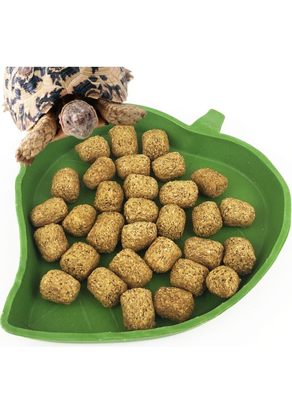 Bir Stil Sürüngen Su ve Yem Kabı Kap Plastik Kaplumbağa Keler Kırkayak Deri Yaprak Şekli Evcil Hayvanlar Üretim Tepsi (Yurt Dışından)