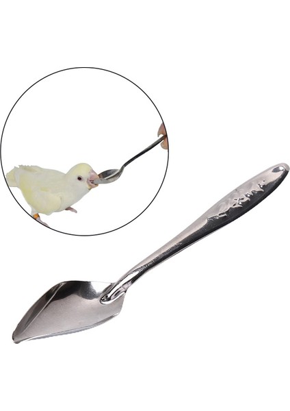 Resim Stili Olarak Ayarlanabilir Bebek Kuş Besleme Tüpü ile Parrot Mama Şırınga El Ile Besleme Ilaç Kuş Malzemeleri ml (Yurt Dışından) indirimleri