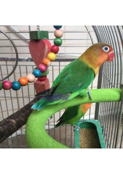 S Tarzı Kuş Papağanı Tırmanma Direği Kaba Yüzeyli Ahşap U Şekilli Tırmanma Çubuğu Kafes Oyuncakları Için Tırmanma Direği (Yurt Dışından) fırsatları