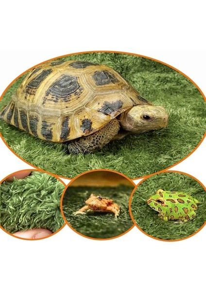 No.1 Tarzı Kertenkele Yılan Için Simülasyon Yosun Çim Halı Sürüngen Terraryumu Yatak Malzemesi Zemin Kaplaması Kendin Yap Mikro Peyzaj Yapay Çim Matı (Yurt Dışından) indirimleri