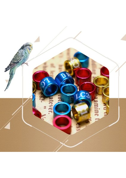 No.7 Tarzı Karışık Renk Kuş Ayak Halka Bantları Güvercin Güvercin Civciv Bantam Bıldırcın Muhabbet Kuşları Küçük Işaret Klipsi - Ayağa Takılır Halkalar (Yurt Dışından) fırsatları