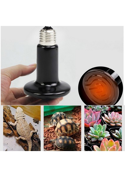 No.5 Tarzı Ev Isıtma Lambası Siyah Kızıl Seramik Isıtıcı Isı Lambası Evcil Hayvan Yavruları Sürüngen Lambası (Yurt Dışından) fiyatları