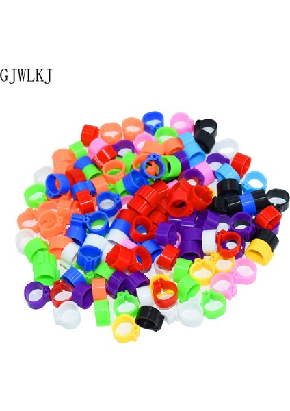 8 mm Yeşil Stil Kuş Ayak Halkası Evcil Kuş Taşıyıcı Güvercin Papağan 10 Renkli Hayvan Malzemeleri (Yurt Dışından) fırsatları