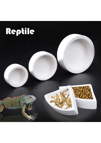 Yuvarlak M Stili Seramik Sürüngen Su ve Yem Kabı Kaplumbağa Kertenkele Yılan Kap Gecko Cameleon Için Kase (Yurt Dışından)