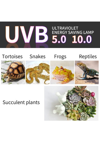 220V 13W 5.0 Tarzı Kaplumbağa Kertenkele Yılan Iguanalar Için Sürüngen Uvb Lamba Ampulü Isı Kalsiyum Lamba Ampulü Enerji Tasarrufu Işık Sürüngen Succulent E27 (Yurt Dışından) fırsatları