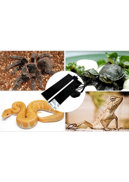 Açık Sarı Stil Ev Hayvanı Isıtıcı Isıtma Ped Reptil Terraryumu Sürüngen Isıtma Matı Tırmanma Hayvan Ayarlanabilir Sıcaklık Kontrol Cihazı Araçları (Yurt Dışından) indirimleri