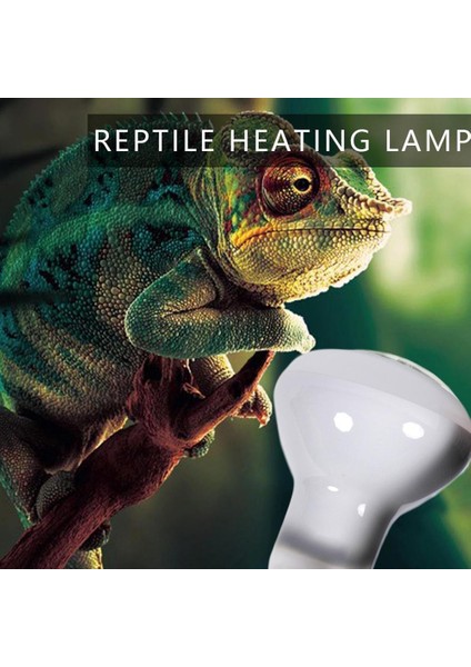 50W Tarzı Ev Hayvanı Isıtma Ampulü Uva Isı Lambası Ampulü Spot Işık Hayvanlar Seramik Kertenkele Chocadeira Isıtıcı Yumurtalık Isıtıcı J3U2 (Yurt Dışından)
