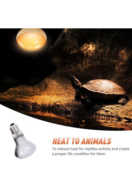 50W Tarzı Ev Hayvanı Isıtma Ampulü Uva Isı Lambası Ampulü Spot Işık Hayvanlar Seramik Kertenkele Chocadeira Isıtıcı Yumurtalık Isıtıcı J3U2 (Yurt Dışından)