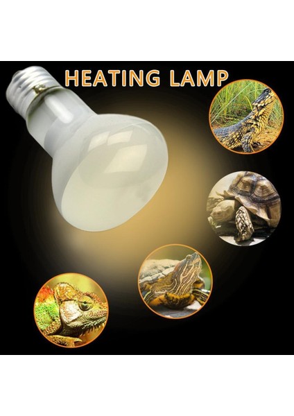 50W Tarzı Ev Hayvanı Isıtma Ampulü Uva Isı Lambası Ampulü Spot Işık Hayvanlar Seramik Kertenkele Chocadeira Isıtıcı Yumurtalık Isıtıcı J3U2 (Yurt Dışından)