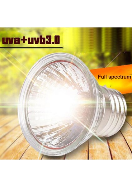 3 Adet 50W Ampul Tarzı 110V Uva+Uvb 3.0 Sürüngen Lamba Seti Klipsli Lamba Tutucu Ampul Termometre Higrometre Kaplumbağa Kaplumbağalar Kertenkele Isıtma Işığı (Yurt Dışından) fırsatları