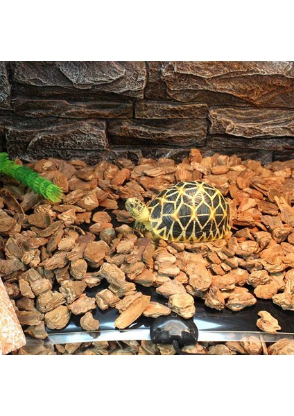 14W 110V Abd Fiş Tarzı Evcil Isıtma Ped Kertenkele Elektrikli Battaniye Sıcak Ayarlanabilir Sıcaklık Kontrol Cihazı Inkübatör Mat Araçları Euus Fişi (Yurt Dışından) modelleri