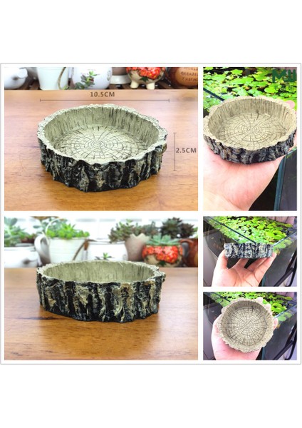 Doku Stili Sürüngen Evcil Hayvan Kaplumbağa Içme Kabı Sürünme Kabı Süsleme Yılan Malzemeleri Kaplumbağa Aksesuarları (Yurt Dışından) fırsatları