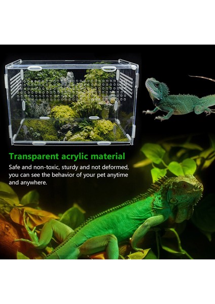 20X15X15CM Tarzı Sürüngen Üreme Kutusu Şeffaf Akrilik Sürüngen Tankı Terraryum Böcek Örümcek Kertenkele Kurbağa Çekirge Kaplumbağa (Yurt Dışından) fırsatları