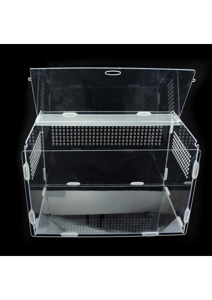 20X15X15CM Tarzı Sürüngen Üreme Kutusu Şeffaf Akrilik Sürüngen Tankı Terraryum Böcek Örümcek Kertenkele Kurbağa Çekirge Kaplumbağa (Yurt Dışından) indirimleri