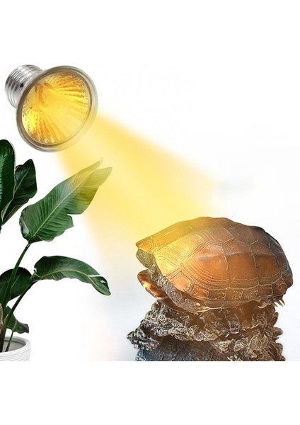 50W 110V Tarzı Profesyonel Bronzlaştırıcı Güneş Lambası Uva Uvb Işık Kertenkele Kaplumbağa Tırmanma Evcil Hayvan Ampulü Araçları Sıcaklık Kontrol Ürünleri (Yurt Dışından) fırsatları