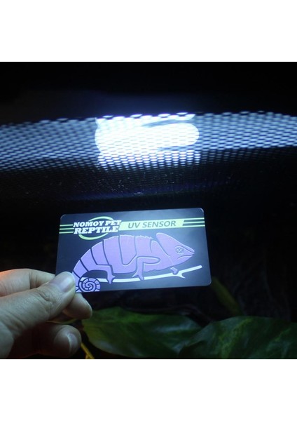 1 Adet Tarzı Yeniden Kullanılabilir Uv Lamba Ömrü Test Kağıdı 10 Saniye Algılama Uvb Test Kartı Sürüngen Terraryumu Etkili Testler Ölçüm Analiz Araçları (Yurt Dışından) fırsatları