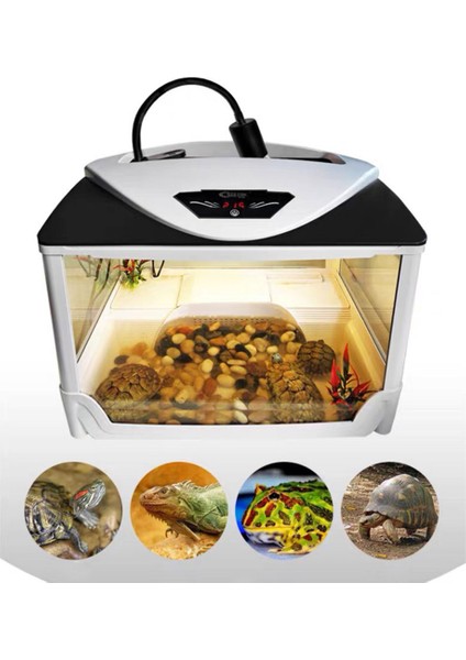 25W Tarzı Akvaryum Evcil Amfibi Lambası Kertenkele Isıtma Ampulu Kaplumbağa Güneşlenme Uv Işığı Sürüngen Lambası Kaplumbağa Eğlence Dekorasyonu (Yurt Dışından) fiyatları