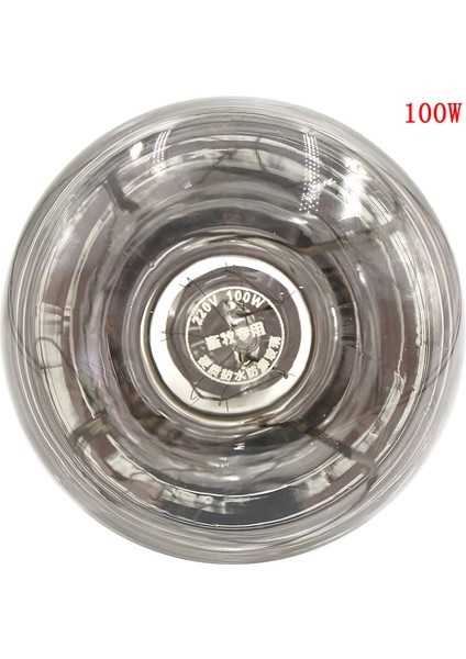 Beyaz 100W Tarzı Yeni Termal Lamba Akıllı Kızılötesi LED Işık Evcil Hayvan Kuluçka Makinesi Şapka Köpek Kedi 220V (Yurt Dışından)