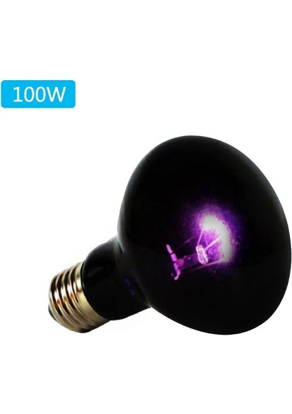 100W Tarzı Sürüngen Uva Isıtma Lambası Tırmanma Evcil Kertenkele Kaplumbağa Isı Işığı Kaplumbağa Kutusu Ampul Yetiştirme Gece Işıkları (Yurt Dışından)