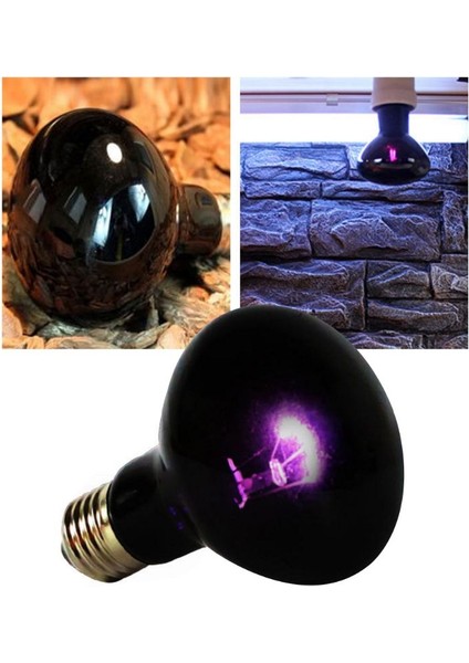 100W Tarzı Sürüngen Uva Isıtma Lambası Tırmanma Evcil Kertenkele Kaplumbağa Isı Işığı Kaplumbağa Kutusu Ampul Yetiştirme Gece Işıkları (Yurt Dışından)