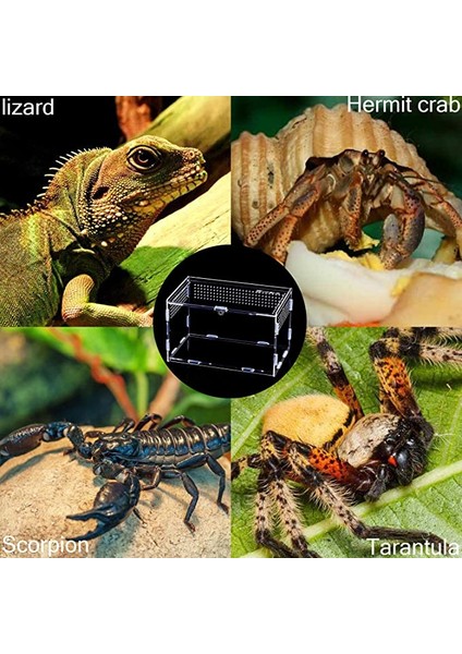 12 12 20 Tarzı Şeffaf Akrilik Kutu Terraryum - Kertenkele ve Kurbağa Cricket Kaplumbağa Örümcek Salyangoz Cam Sığınak Teraryum Terraria Gecko (Yurt Dışından)