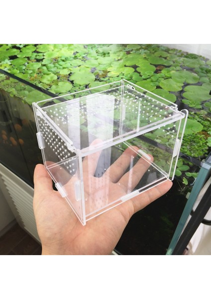12 12 20 Tarzı Şeffaf Akrilik Kutu Terraryum - Kertenkele ve Kurbağa Cricket Kaplumbağa Örümcek Salyangoz Cam Sığınak Teraryum Terraria Gecko (Yurt Dışından)