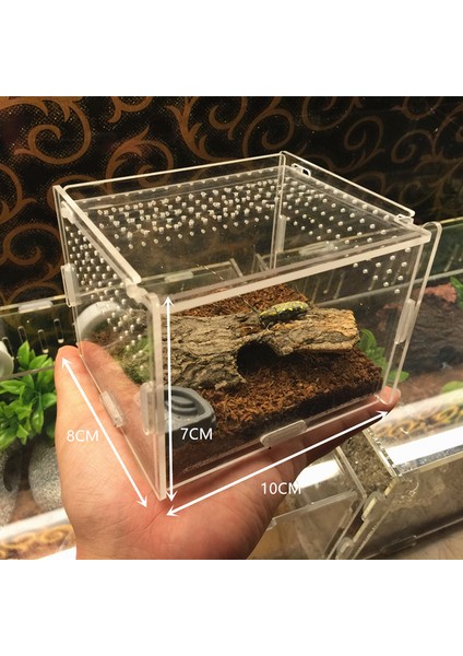 12 12 20 Tarzı Şeffaf Akrilik Kutu Terraryum - Kertenkele ve Kurbağa Cricket Kaplumbağa Örümcek Salyangoz Cam Sığınak Teraryum Terraria Gecko (Yurt Dışından)
