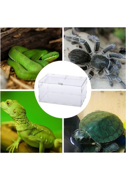 12 12 20 Tarzı Şeffaf Akrilik Kutu Terraryum - Kertenkele ve Kurbağa Cricket Kaplumbağa Örümcek Salyangoz Cam Sığınak Teraryum Terraria Gecko (Yurt Dışından)