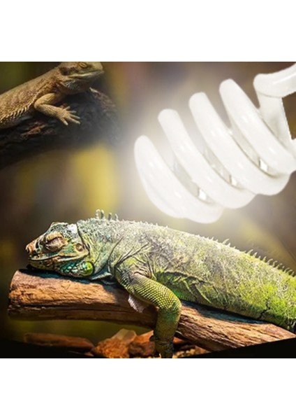 26W 10.0 Tarzı Sürüngen Uvb Lambası Ampul Kaplumbağa Kertenkele Yılan Iguanalar Isı Kalsiyum Lambası Enerji Tasarruflu Işık Sürüngen Sukulent E27 (Yurt Dışından) fiyatları