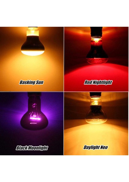 Gümüş 25W Tarzı Sürüngen Lambası Minik Evcil Isıtma Lambası E27 Uv Gündüz Gece Amfibi Kaplumbağa Yılan Lambası Isıtma Sürüngen Ampul Işık Ac (Yurt Dışından)