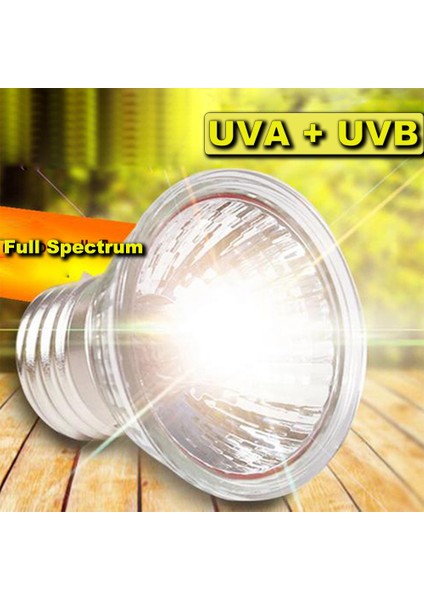 Siyah 100W Tarzı Sürüngen Lambası Kaplumbağa Isıtma Uv Işık Isıtma Lambası Amfibi Kertenkeleler Sıcaklık Kontrol Lambası (Yurt Dışından)