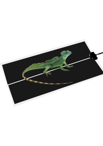 7W Ab Fiş Stili Sürüngen Isıtma Ped Ayarlanabilir Sıcaklık Kontrol Cihazı Mat Ab Takı Reptil Malzemeleri (Yurt Dışından) indirimleri