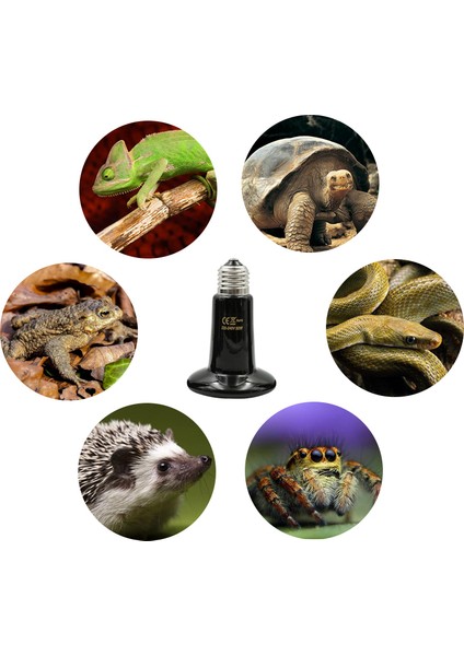 200W Tarzı Evcil Hayvan Isıtma Işık Ampulü 220V Siyah Kızıl Seramik Isıtıcı Isı Lambası Kertenkele Hayvanlar Için Kertenkele Lambası 25W 50W 75W 100W 150W 200W (Yurt Dışından) indirimleri