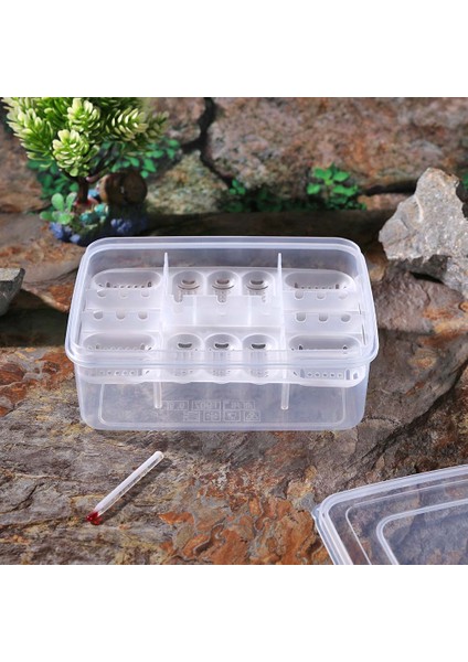 Pratik Plastik Izgara Plastik Sürüngen Yumurta Inkübatör Tepsisi Kertenkele Yılan Yumurtaları Yumurta Kuluçka Kutusu Inkübasyon Aracı Terraryumlar (Yurt Dışından) fırsatları