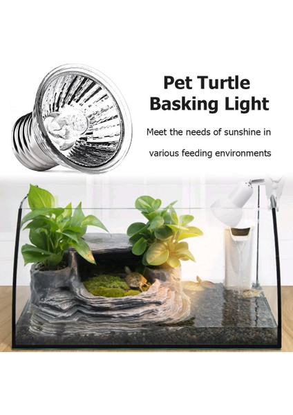 220V 50W 4 Adet Stil Bene 4 Paket Sürüngen Tam Spektrum Lamba Isıtma Ampulü - Brooder, Kaplumbağa, Kertenkele, Kamaşan Ejderha ve Kurbağa Terraryumu Için (Yurt Dışından)