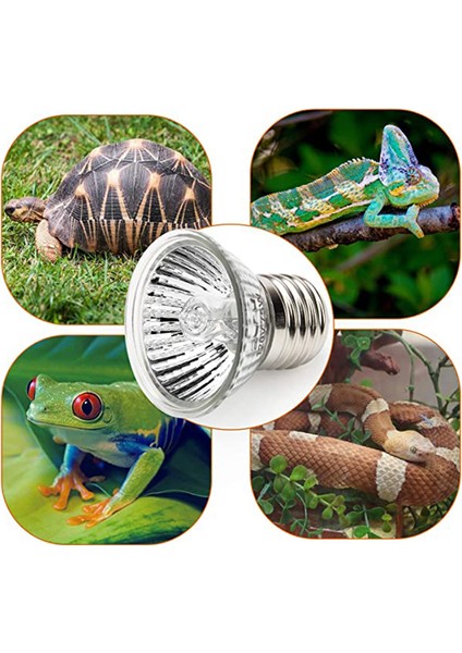 220V 50W 4 Adet Stil Bene 4 Paket Sürüngen Tam Spektrum Lamba Isıtma Ampulü - Brooder, Kaplumbağa, Kertenkele, Kamaşan Ejderha ve Kurbağa Terraryumu Için (Yurt Dışından)