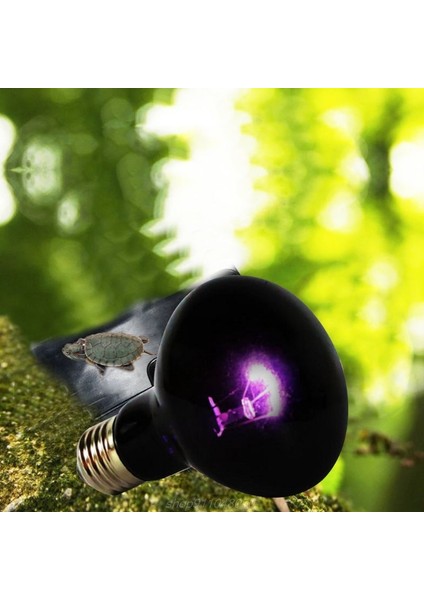 100W Tarzı Sürüngen Uva Isıtma Lambası Tırmanma Evcil Kertenkele Kaplumbağa Isı Lambası Yetiştirme Gece Işıkları Kaplumbağa Kutusu Ampul D (Yurt Dışından)