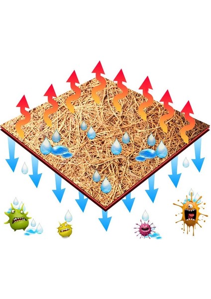40X60CM Tarzı Sıcak Sürüngen Evcil Hayvan Yatak Matı Akvaryum Kaplumbağa Kaplumbağa Kertenkele Sürüngenler Tırmanma Hindistan Cevizi Palmiye Halı Nds (Yurt Dışından) fiyatları