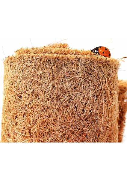 40X60CM Tarzı Sıcak Sürüngen Evcil Hayvan Yatak Matı Akvaryum Kaplumbağa Kaplumbağa Kertenkele Sürüngenler Tırmanma Hindistan Cevizi Palmiye Halı Nds (Yurt Dışından) fırsatları