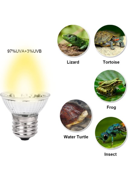 WGD-C02W-220V-50W Stili Sürüngen Lambası Klipli Ampul Uvb Lamba Tutucu Kaplumbağa Terraryumu Kaplumbağalar Isıtma Lambası Kiti (Yurt Dışından)